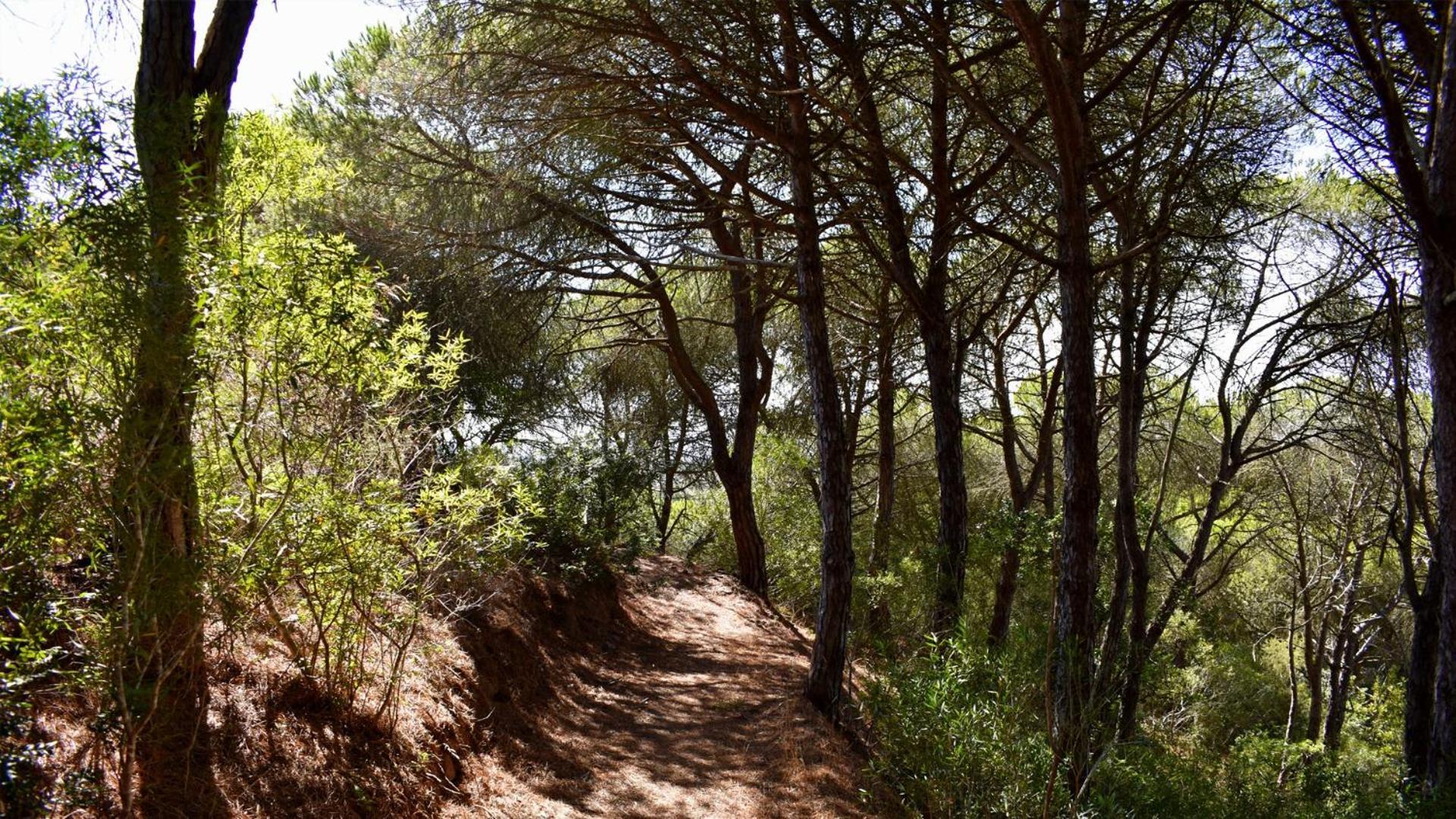 Monte Sardinha Pension Santiago do Cacém Buitenkant foto